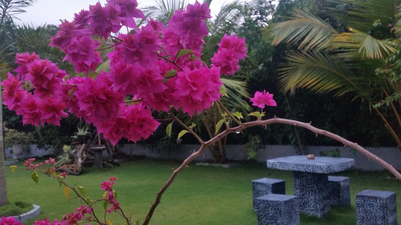 Dhammika Magic Palace واديوفا المظهر الخارجي الصورة